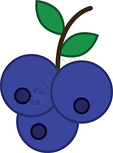 蓝莓填满大纲图标水果矢量背景图片