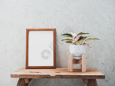 Teak木质框架模拟和Aglaonema家用植物(中国长青) 以现代白色和黑陶瓷容器装在茶叶木板桌上 水泥墙背景及产品复制空间背景图片