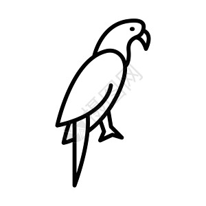 绿翅金刚鹦鹉鹦鹉大纲图标动物矢量插画