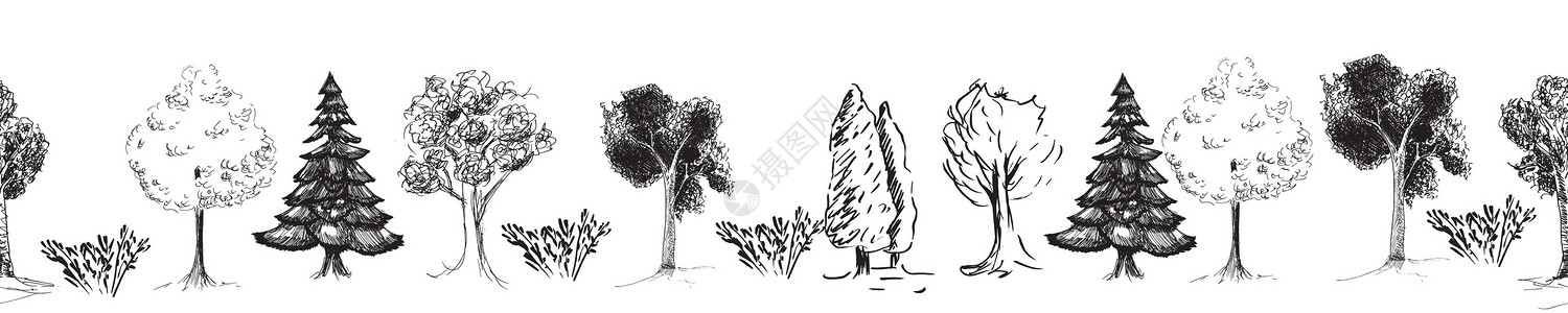 枯萎的树木手画的自然边框 用枯萎和狡猾的树木绘制手画设计图片