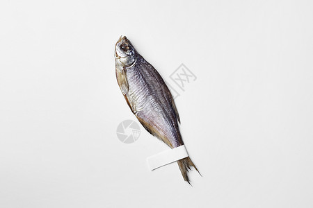 盐咸蟑螂鱼 标签贴在白色背景孤立的尾巴上背景图片