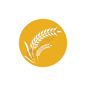 大麦素材小麦标志矢量图标营养谷物面粉横幅植物燕麦收成金子插图玉米插画