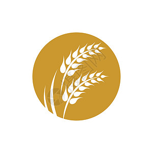 谷物图标小麦标志矢量图标谷物食物饮食农业金子植物市场燕麦玉米生长插画