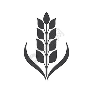 小麦标志图片面包收成插图黄色农场面粉食物标识农业玉米背景图片