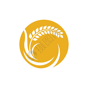 小麦标志图片收成面粉植物标识黄色食物插图耳朵面包粮食背景图片