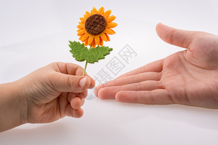 婴儿在白色背景上赠送假花花朵场地礼物植物绿色展示背景图片