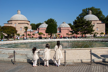 游泳池旁的3个小女孩 带着圆丘观光白色女孩们游客孩子们水池火鸡旅行姐妹背景图片