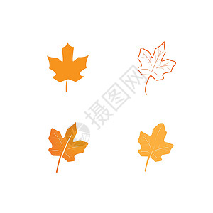 秋季徽标矢量黄色红色叶子季节森林橙子白色植物学插图商业背景图片