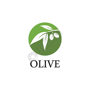 橄榄标志模板生态绿色水果农业广告插图食物蔬菜叶子标识背景图片
