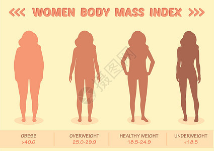 妇女身体质量指数矢量医学人口图插画