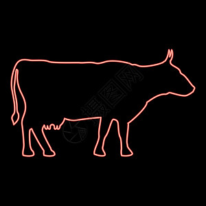 牛展肉Neon 牛设定红色矢量插图图像平板风格设计图片