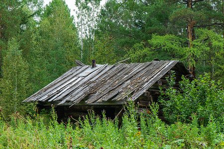 古老木头房子在泰加的一座废弃的木屋 西伯利亚的一个狩猎小屋边缘窝棚森林古董历史衰变场地猎屋乡村草地背景