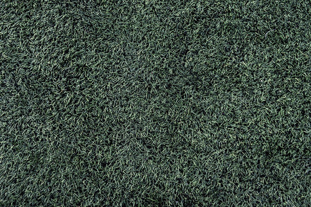 绿色草原背景的质地 草坪表面是一片草背景图片