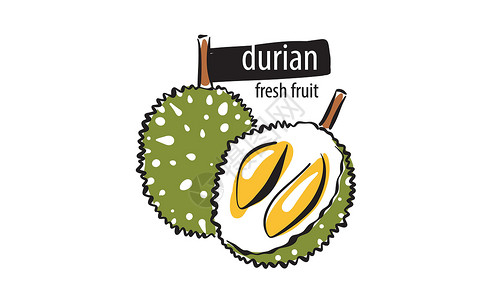 折衷主义者白色背景上的拉图矢量 durian插画