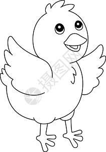 帧剪贴画儿童孤立的小鸡颜色页面插画