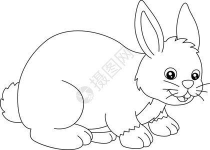 宝宝涂色素材可爱的野兔高清图片