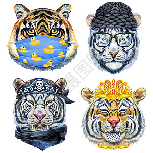 老虎帽子一组老虎肖像 白色背景上的野生动物水彩色插图野猫织物猎人帽子快乐微笑危险情感食肉动物背景
