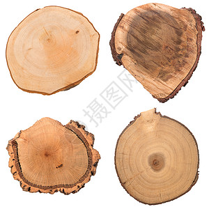 木木原切片树干木材材料树皮树桩松树圆圈白色戒指日志高清图片