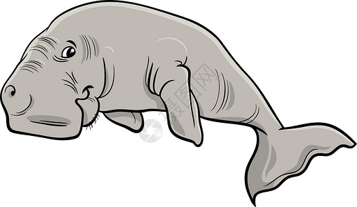 卡通卡通 杜贡海哺乳动物动物性背景图片