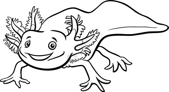 本教第一神湖动画 axolotl 动物性格彩色书页插画