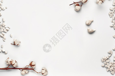 棉花花 海石和两只小陶瓷鸟在白色背景上被孤立 特写 复制空间 模拟 顶楼 平面背景图片