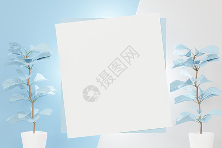 蓝色化妆品海报3d 将白色空白框的顶层视图用于模拟和显示蓝白面片场景的产品 创意概念横幅圆柱推介会帆布阴影植物展示化妆品棕榈树叶背景