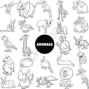 大鹦鹉野生动物物种的特写 大系列大字符组插画