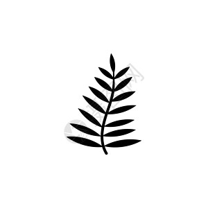 棕榈树叶 蕨叶 蕨菜 平面矢量图标说明 白色背景上的简单黑色符号 棕榈树的叶子 蕨类植物的叶子为 web 和移动 UI 元素签名背景图片
