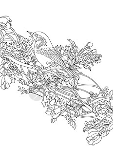鸟在树上站立分线绘制彩色书的想法图案计算机装饰羽毛墙纸季节鸣禽叶子植物黑与白插画