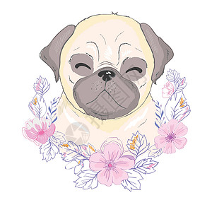 美丽的狗Pug 狗狗犬类卡片动物草图宠物斗牛犬漫画绘画婴儿眼睛设计图片