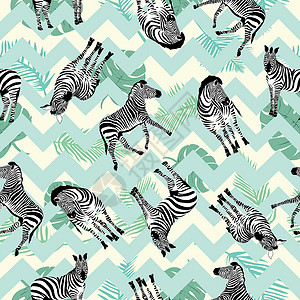 斑马纹素材斑马纹插画动物丛林插图墙纸荒野曲线异国条纹动物群材料动物园插画