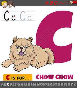 带有卡通松狮犬角色的字母表中的字母 C设计图片
