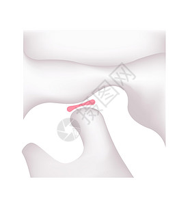颞下颌人类下巴结构图(开放)设计图片