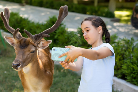 小女孩和鹿激动人心的经历 可爱的小女孩在动物园里与家人共度美好时光时 一边看着和抚摸着斑驳的小鹿一边吃着食物 国家公园 动物女孩栅栏女士成背景