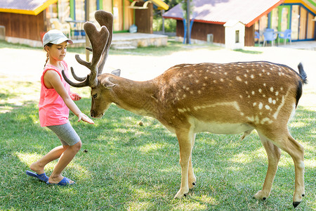 小女孩和鹿孩子在动物园喂野鹿 孩子们在户外喂养动物 小女孩在农场看驯鹿 孩子和宠物动物 家庭夏季动物园之旅 成群的鹿森林朋友们童年林地手表背景