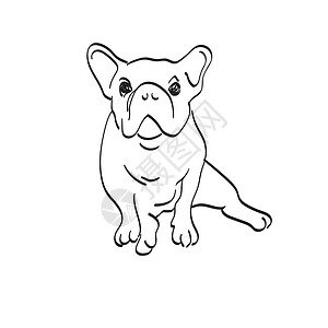 狗手绘黑白线在白色背景线艺术上被孤立的 公牛座插图矢量手插画