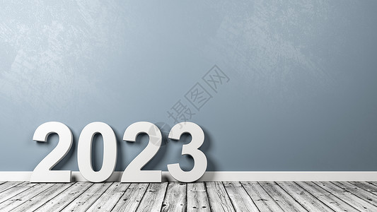 2023年第2023号 关于墙壁上木地板的文本背景图片