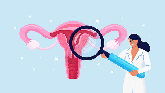 医生妇科医生用放大镜进行子宫检查 妇科 女性健康的生殖系统 诊断发炎的子宫 子宫 卵巢 输卵管 药物治疗背景图片