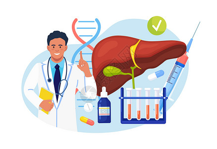 医生检查人类肝脏是否存在肝炎 癌症 肝硬化 医生在实验室血样和药丸附近 内脏的医学实验室研究 诊断和治疗插画