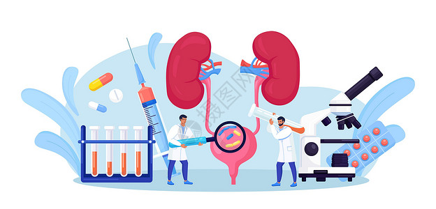 尿液检查肾脏科 泌尿科 尿路感染 UTI 医学概念 两名医生检查和治疗膀胱和肾脏 肾内窥镜检查 检查 肾部分切除术设计图片