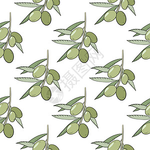 橄榄种植园手画橄榄的无缝图案插画