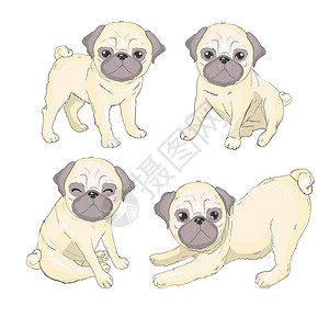 犬狗狗憨萌Pug 狗狗插图斗牛犬草图小狗婴儿卡片宠物艺术动物漫画设计图片