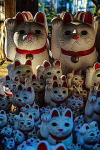 邀请猫 东京 上岛 的图片宠物血管陶器装饰品传统风格十二生肖百货财富陷阱背景图片