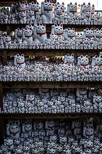 邀请猫 东京 上岛 的图片娃娃新年装饰品生意风格传统血管动物百货玩具背景图片
