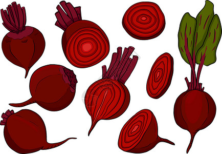 全红婵甜菜根 手画彩色矢量图示 红色甜菜根全 切 切食物市场营养盘子农场水果紫色插图宏观花园插画