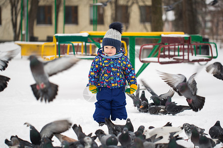 小孩与鸟小漂亮男孩在冬雪公园的户外喂鸟背景