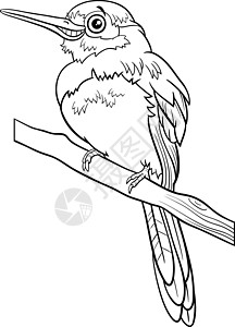 奥尔本卡通漫画 Jacamar 鸟类动物性格彩色书页插画