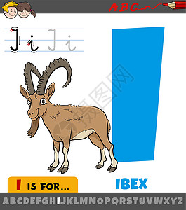 野山羊带有卡通 ibex 动物角色的字母表中的字母 I设计图片