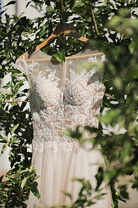 挂在树林树上衣架上的白色婚纱高清图片