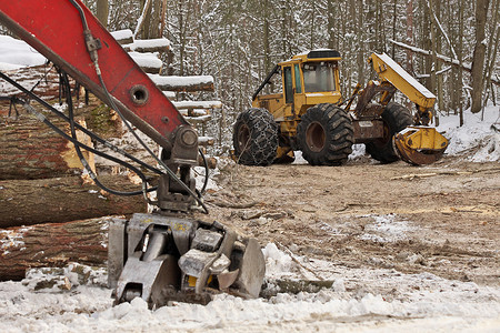 新砍伐的原木冬天伐木工人高清图片